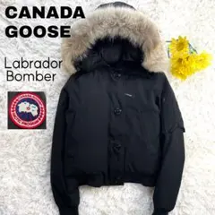 日本限定モデル カナダグースラブラドールボンバー コヨーテファー