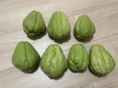 2026年最新】ハヤトウリの人気アイテム - メルカリ