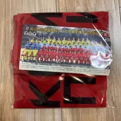 2026年最新】神村 タオルの人気アイテム - メルカリ