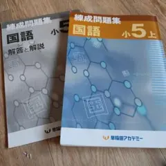 2026年最新】早稲アカ 錬成 小5の人気アイテム - メルカリ