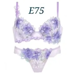 2026年最新】リッチヴェールブラの人気アイテム - メルカリ