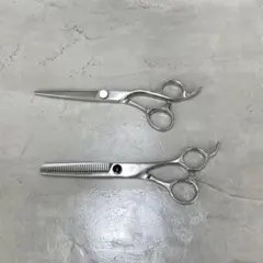 2026年最新】光シザー F-5の人気アイテム - メルカリ