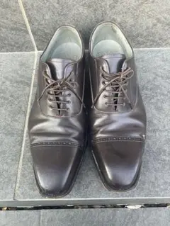 2026年最新】シェットランドフォックス 8の人気アイテム - メルカリ