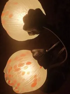 2026年最新】HOYA 花あかりの人気アイテム - メルカリ