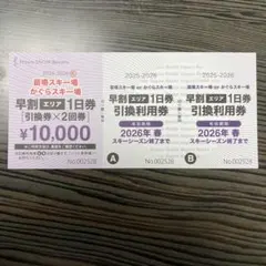 2026年最新】苗場スキー 早割リフトの人気アイテム - メルカリ