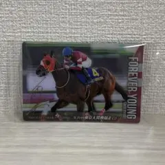 2026年最新】東京大賞典の人気アイテム - メルカリ