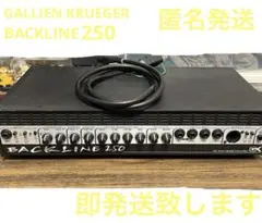 2026年最新】ギャリエンクルーガーの人気アイテム - メルカリ