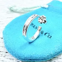 2026年最新】ティファニー1837サークルピアスの人気アイテム - メルカリ