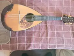 2026年最新】落合マンドリンの人気アイテム - メルカリ