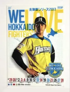 2026年最新】大谷翔平 クリアファイル ファイターズの人気アイテム