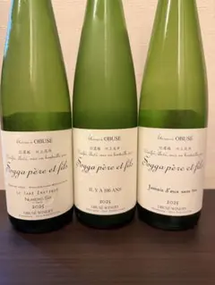 2026年最新】イリヤソントンの人気アイテム - メルカリ