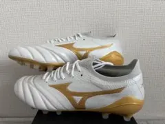 2026年最新】モレリアネオⅣβの人気アイテム - メルカリ