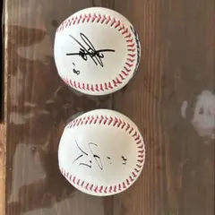 2026年最新】山田哲人 サインボールの人気アイテム - メルカリ