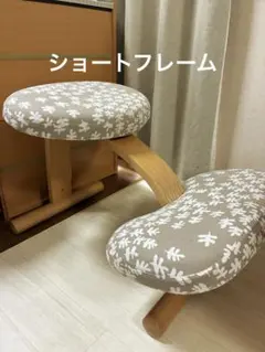 2026年最新】バランスチェアイージーショートフレームの人気アイテム