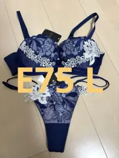 2026年最新】ワコール サルート e75の人気アイテム - メルカリ