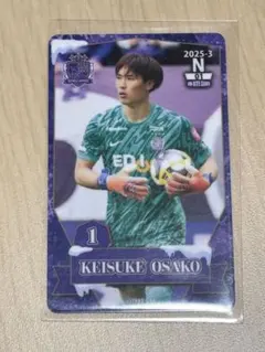 2026年最新】オンサイトカード サンフレッチェ広島の人気アイテム