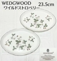 2026年最新】ウェッジウッド ワイルドストロベリー 黒壺の人気アイテム