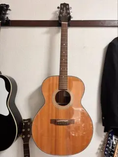 2026年最新】TAKAMINE TSA500の人気アイテム - メルカリ