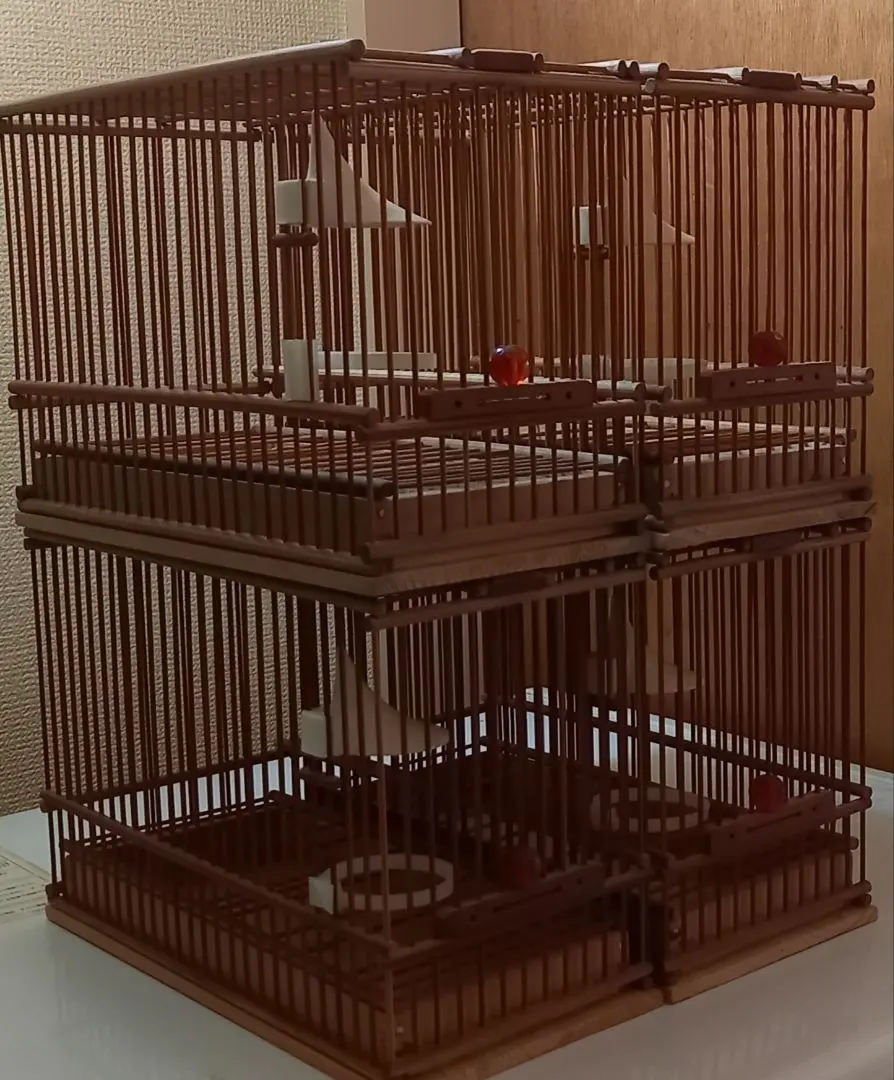 2026年最新】メジロ籠 めじろ籠の人気アイテム - メルカリ