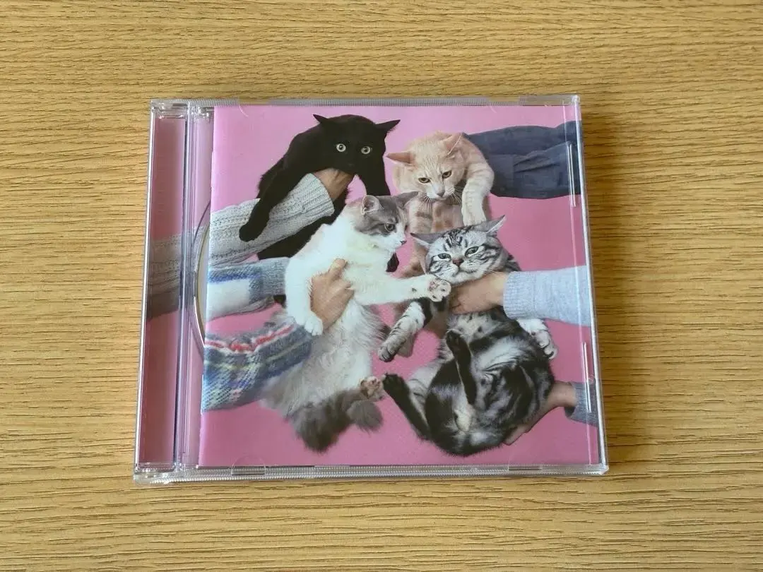 2026年最新】きのこ帝国 猫とアレルギーの人気アイテム - メルカリ