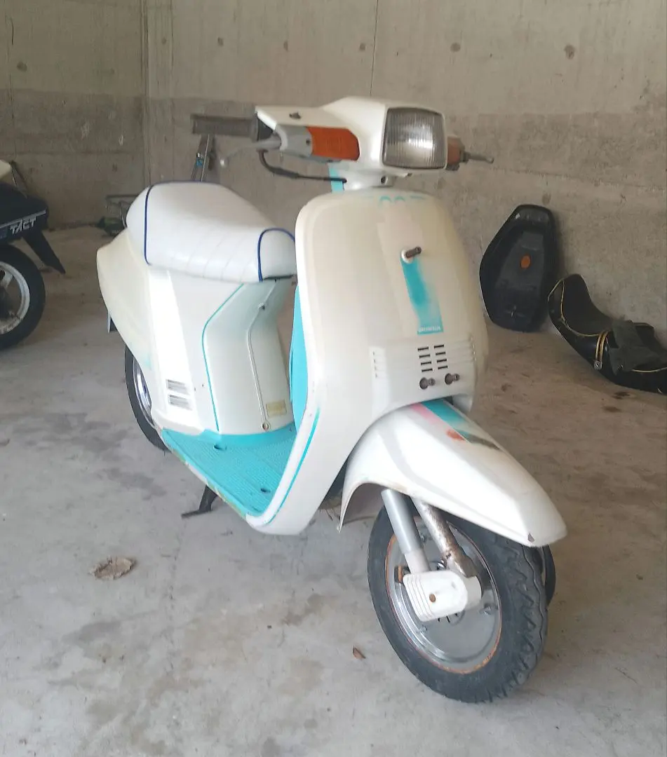 2026年最新】af09 タクト 外装の人気アイテム - メルカリ