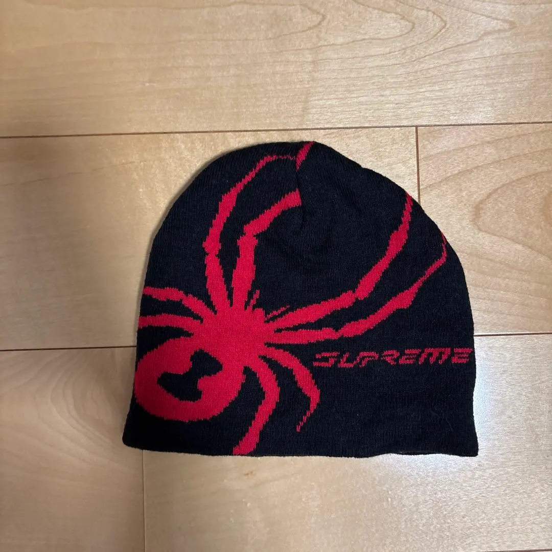 2026年最新】supreme spyder ビーニーの人気アイテム - メルカリ