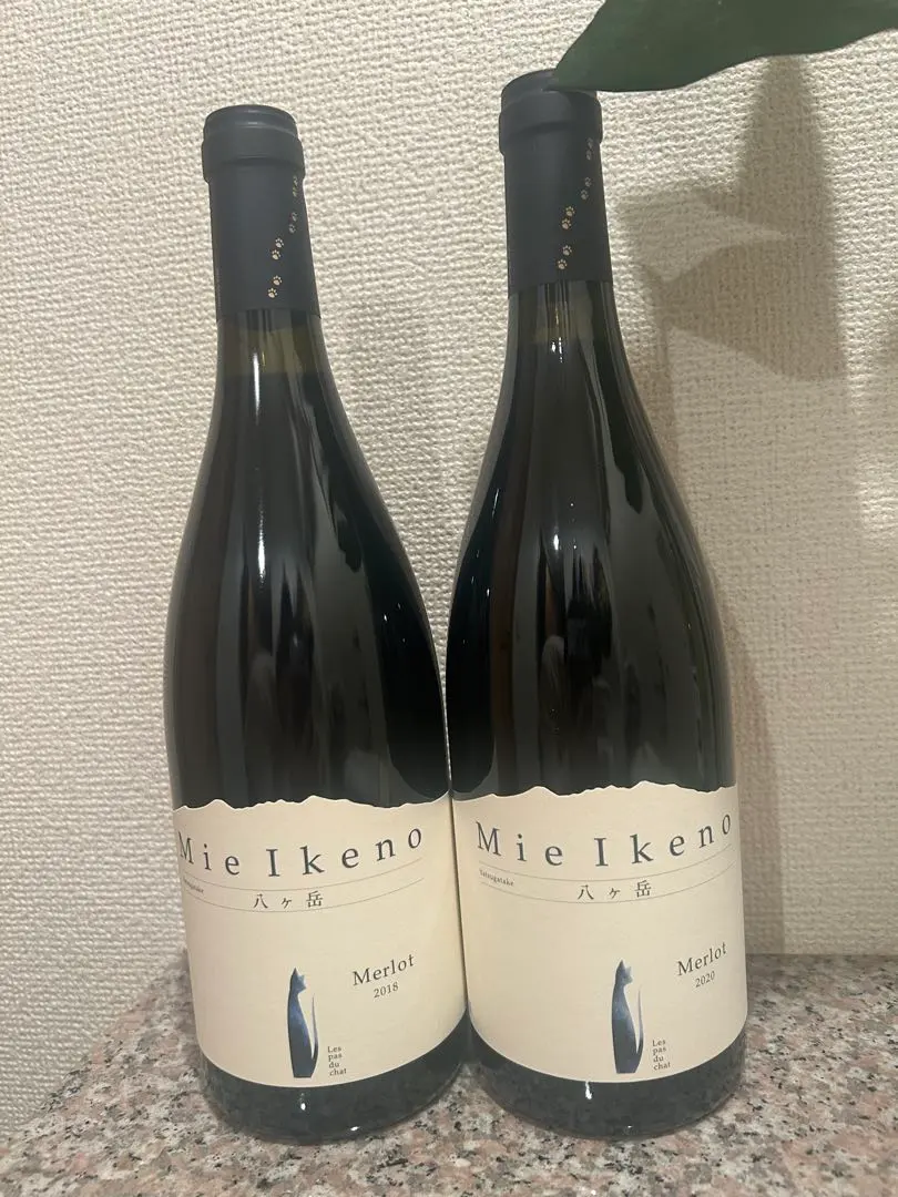 2026年最新】ミエイケノ メルローの人気アイテム - メルカリ