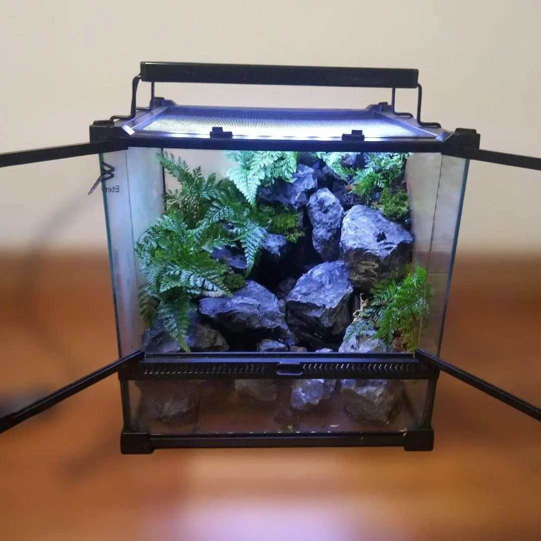 2026年最新】アクアテラリウム 滝の人気アイテム - メルカリ