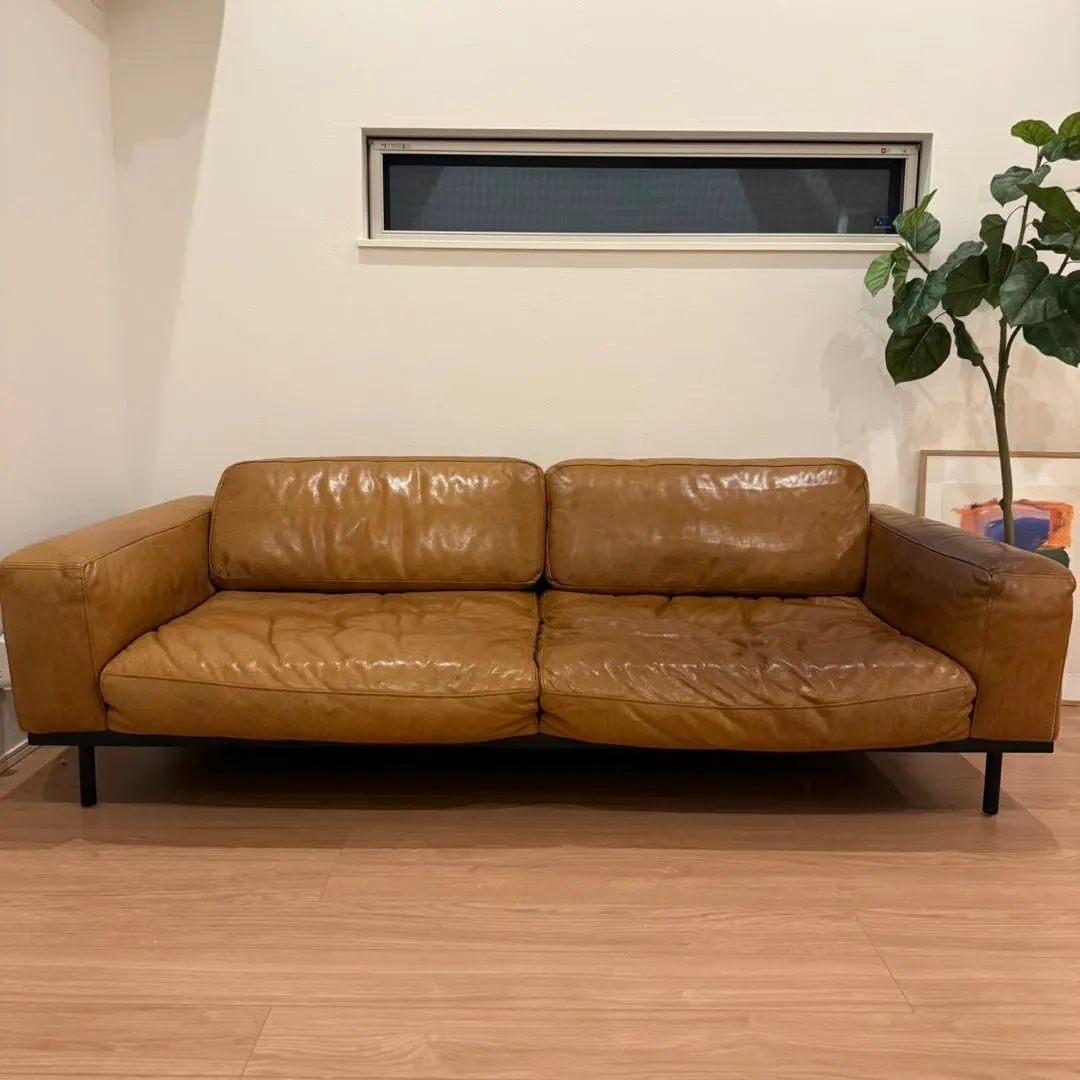 2026年最新】halo×journal standardの人気アイテム - メルカリ