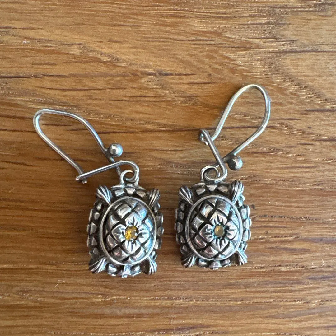 2026年最新】スティーブンデュエック ピアスの人気アイテム - メルカリ