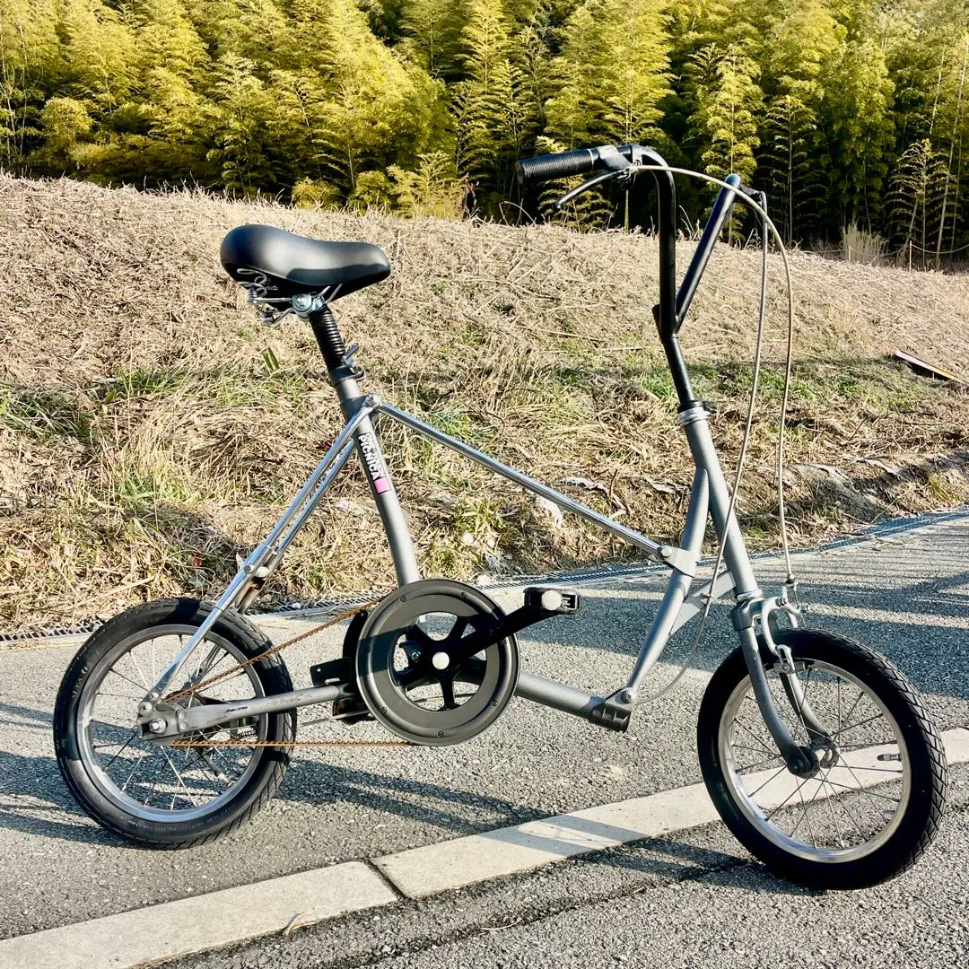 2026年最新】ブリヂストン ピクニカの人気アイテム - メルカリ