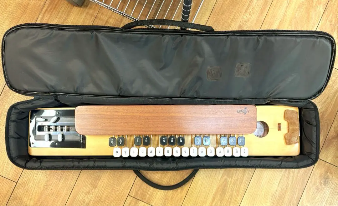 2026年最新】大正琴ライリッシュの人気アイテム - メルカリ