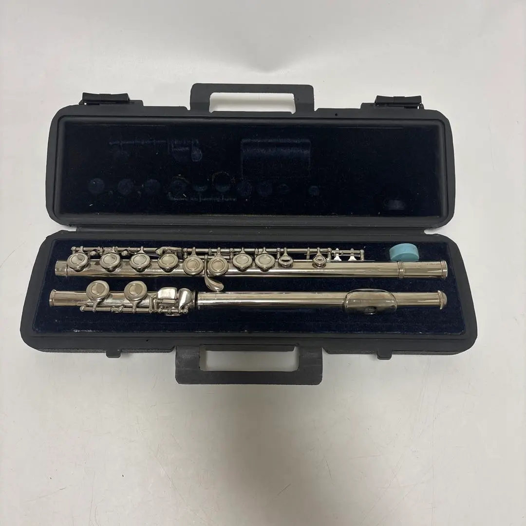 2026年最新】acme フルートの人気アイテム - メルカリ