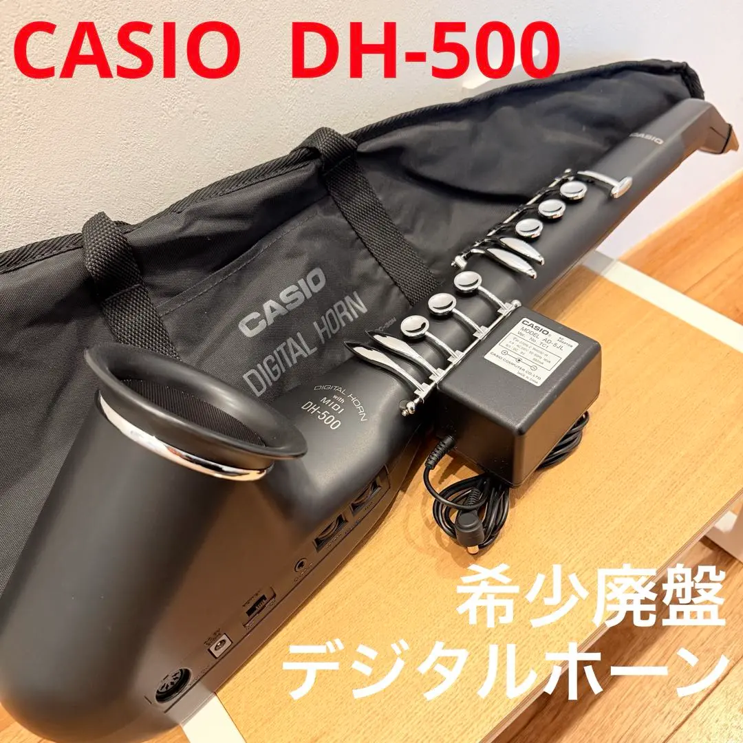 2026年最新】DH-500 CASIOの人気アイテム - メルカリ
