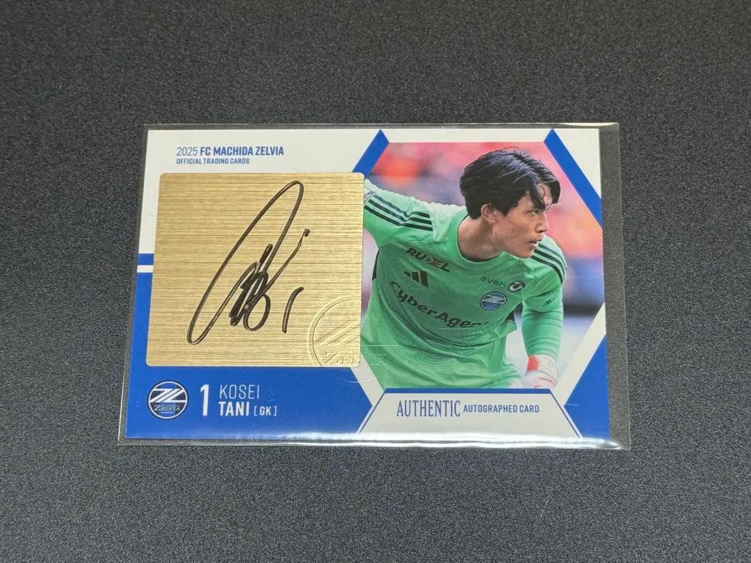 2026年最新】谷晃生 サインの人気アイテム - メルカリ