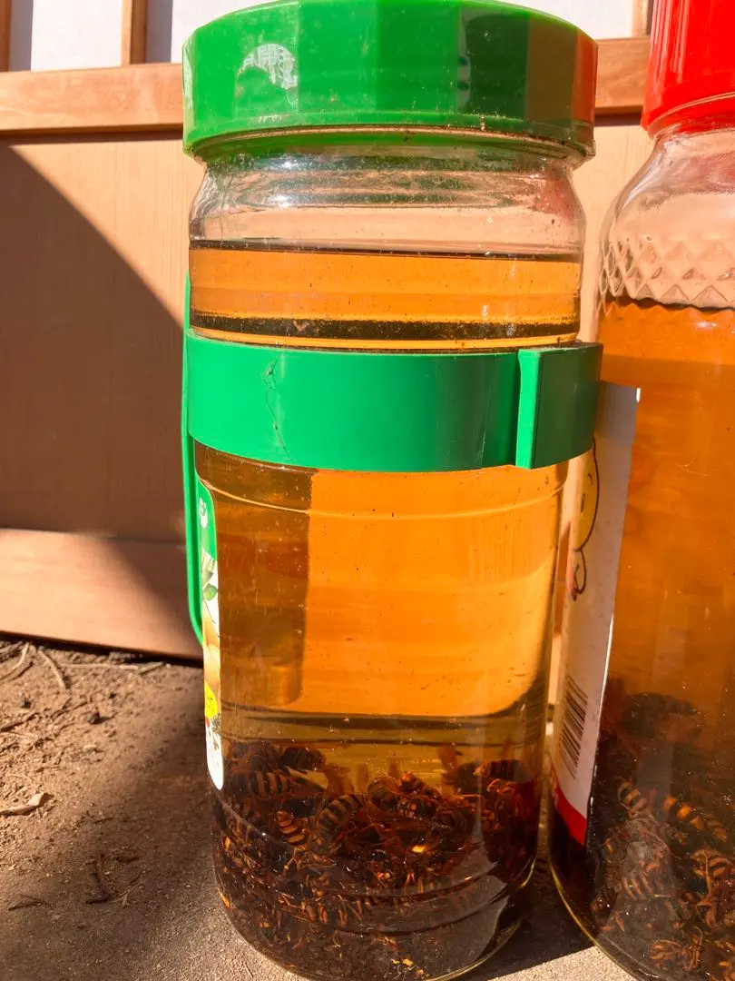 2026年最新】スズメバチ 焼酎の人気アイテム - メルカリ