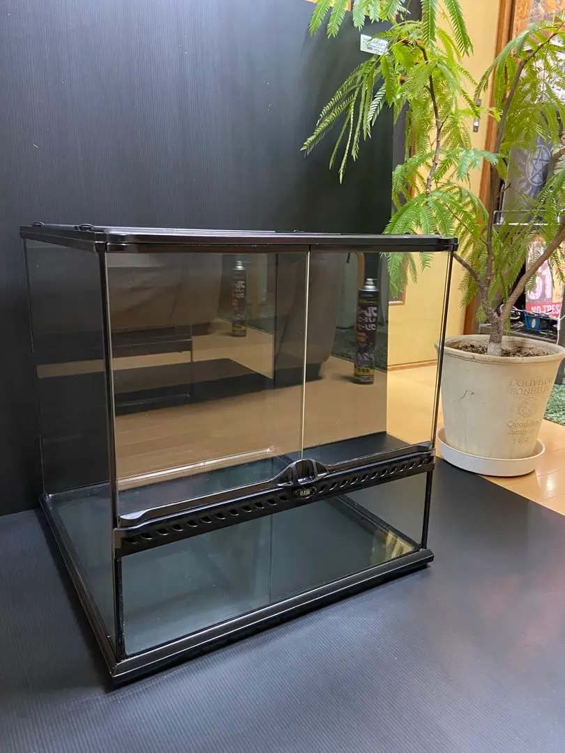 2026年最新】グラステラリウム4545の人気アイテム - メルカリ