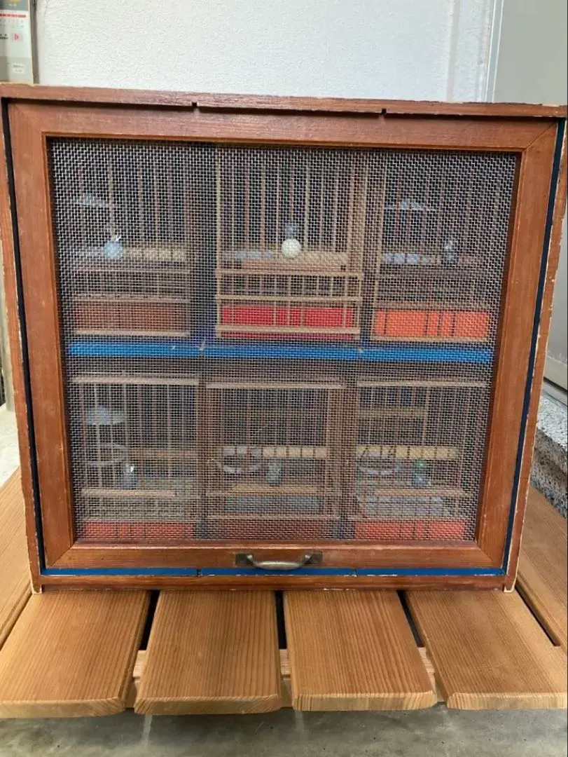 m95698613386_1.jpg?1770936586