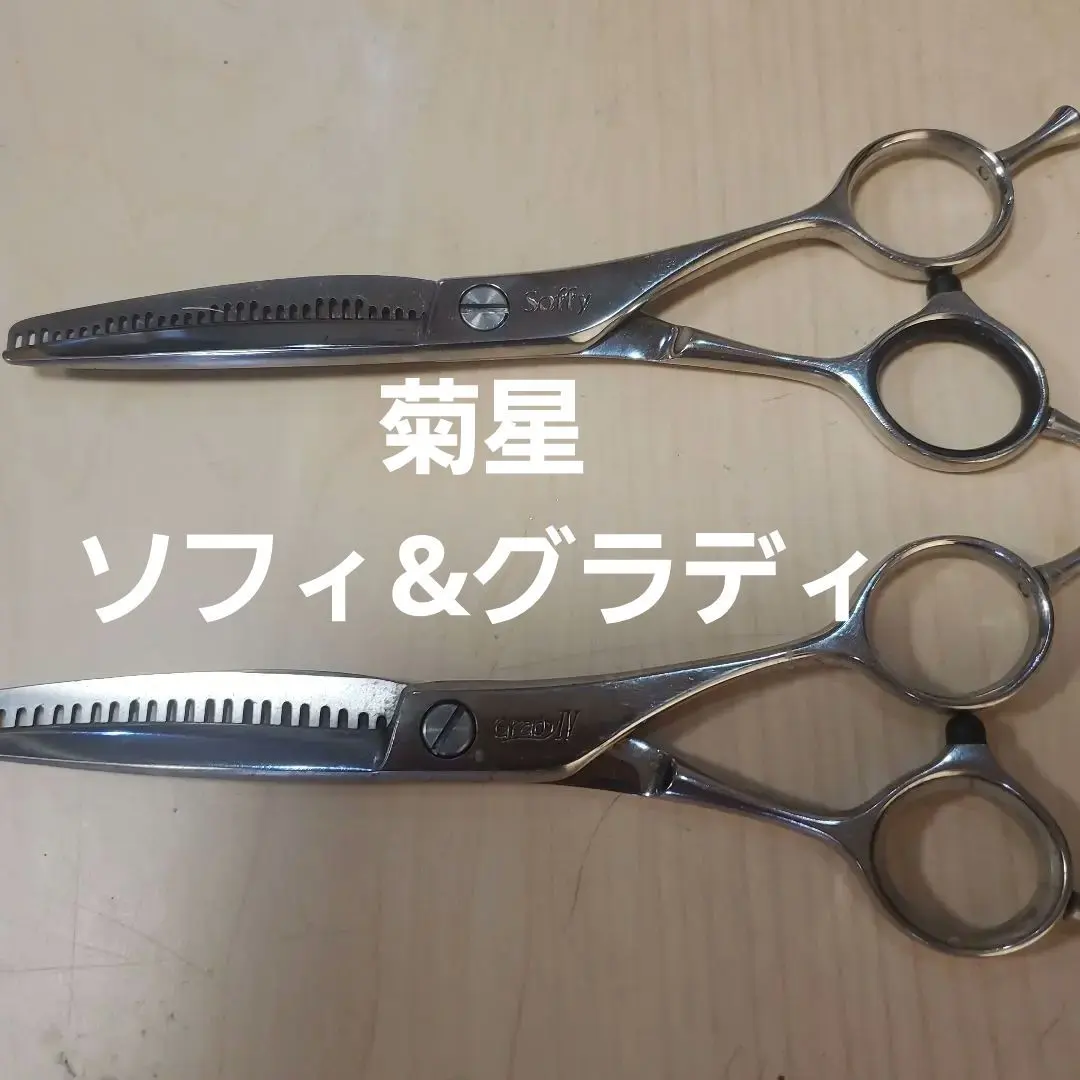 2026年最新】菊星シザーの人気アイテム - メルカリ