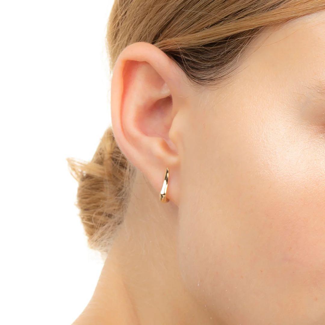 サ*マ様 Hirotaka (片耳用) CYGNUS ピアス S サイズ - メルカリ