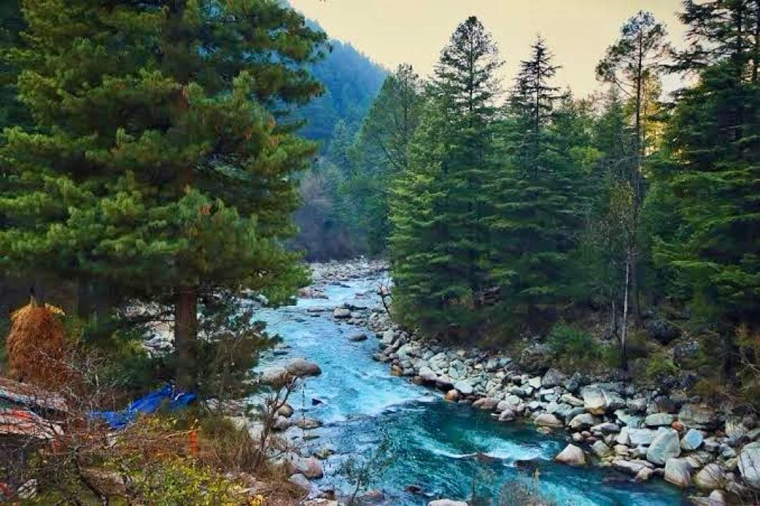 ムラヤマ様 究極品質 ヒマラヤ最高峰のパワー 幻のオーロラファントム