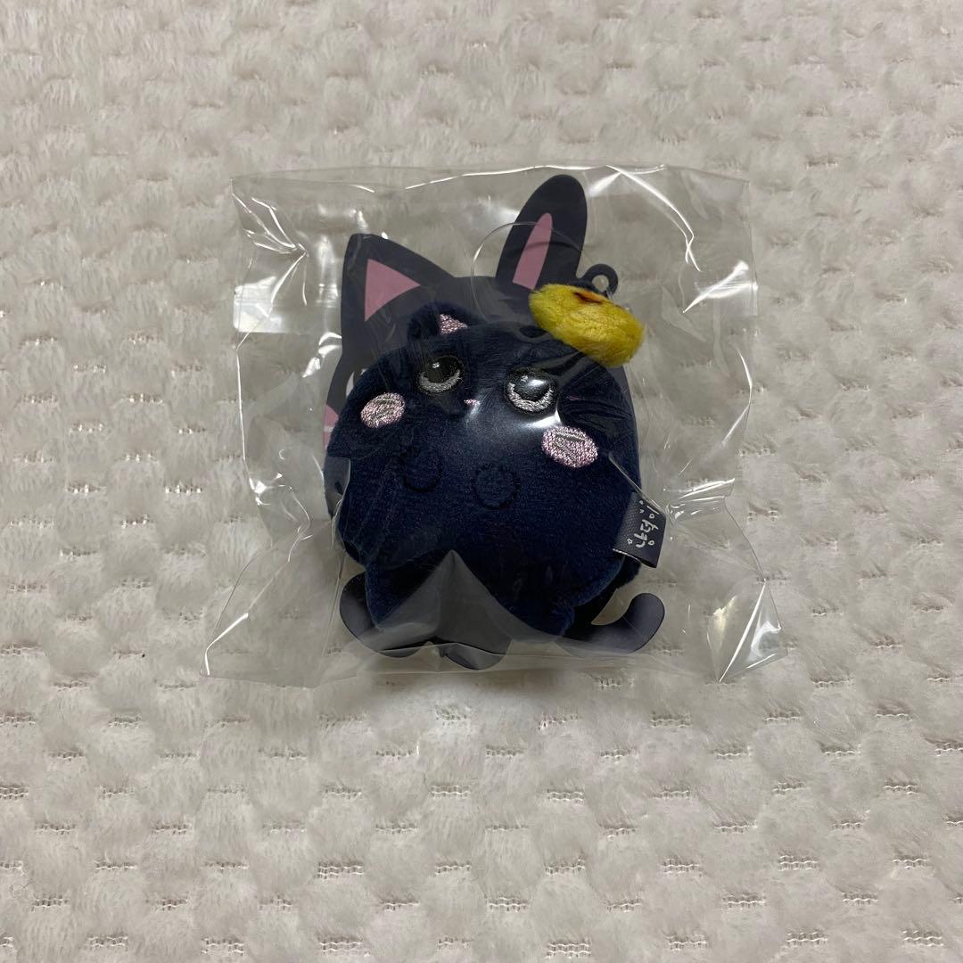 RIIZEウォンビン トニャンドク ミニキーリング - メルカリ