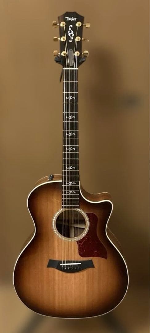 ギター 2020 Taylor LTD 414ce-R SEB 414ce Studio SEB Indian Rosewood Acoustic-Electric Guitar | Taylor