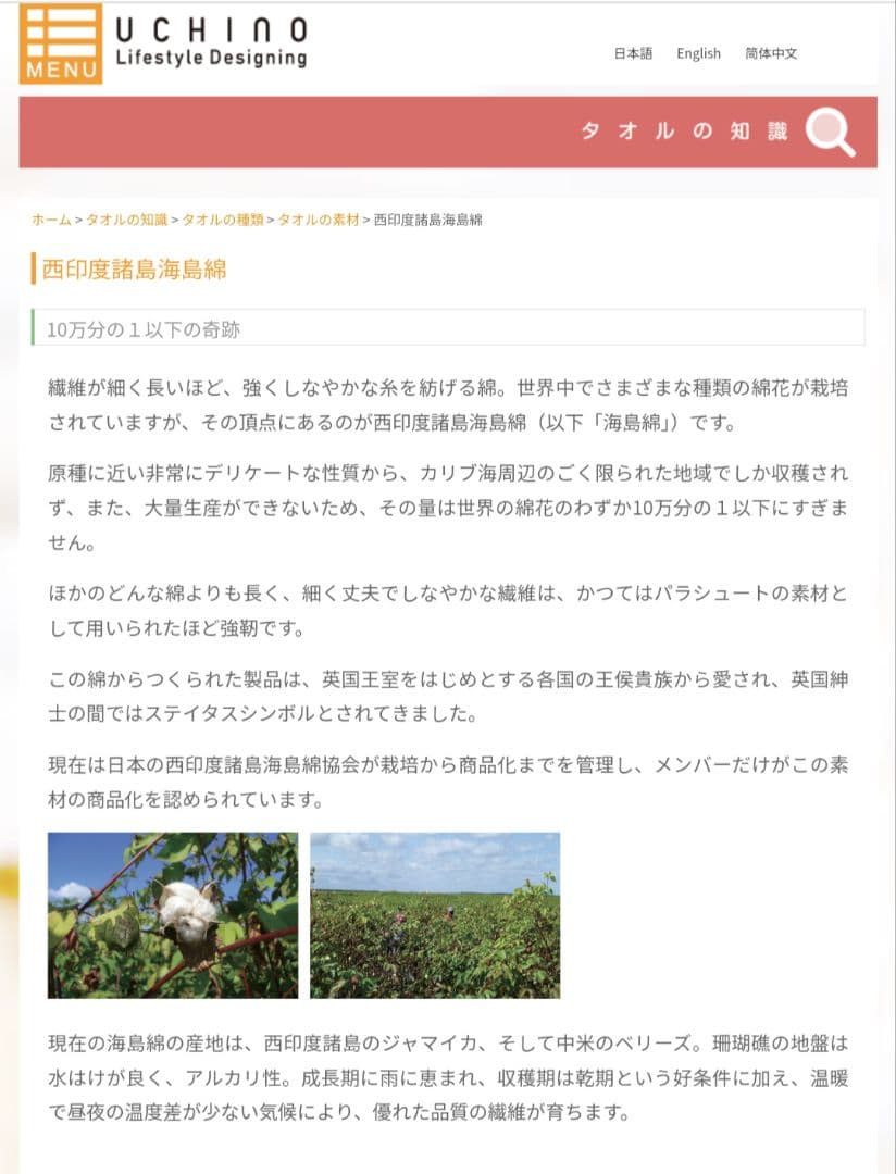 新品☆UCHINO☆高級☆高価☆海島綿☆無撚糸☆豪華☆肉厚☆超大判☆バスタオル