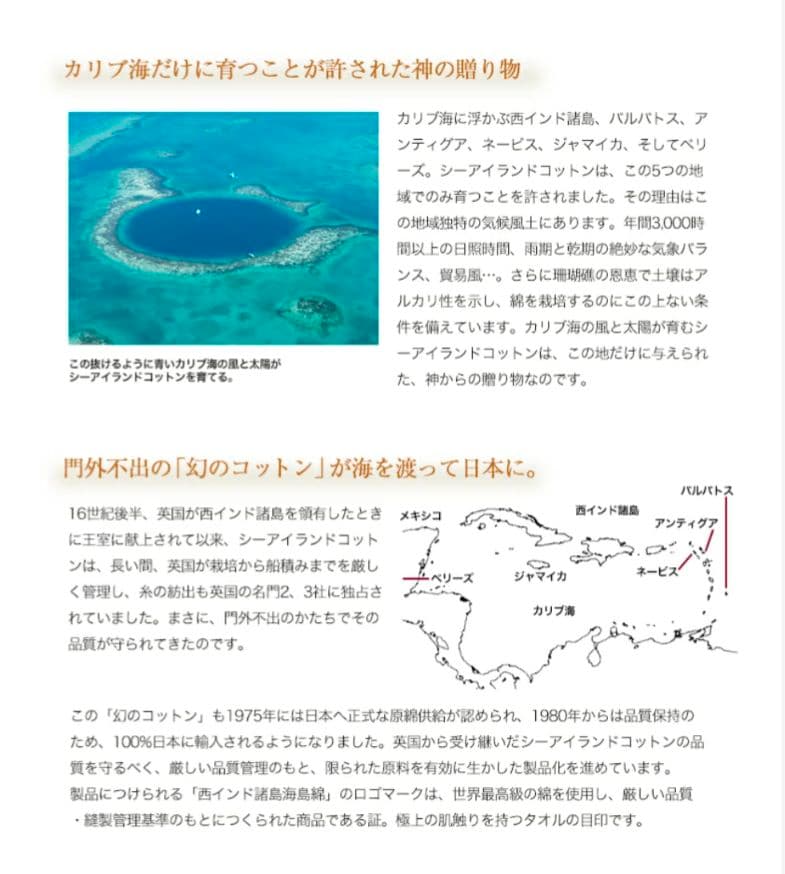 新品☆UCHINO☆高級☆高価☆海島綿☆無撚糸☆豪華☆肉厚☆超大判☆バスタオル