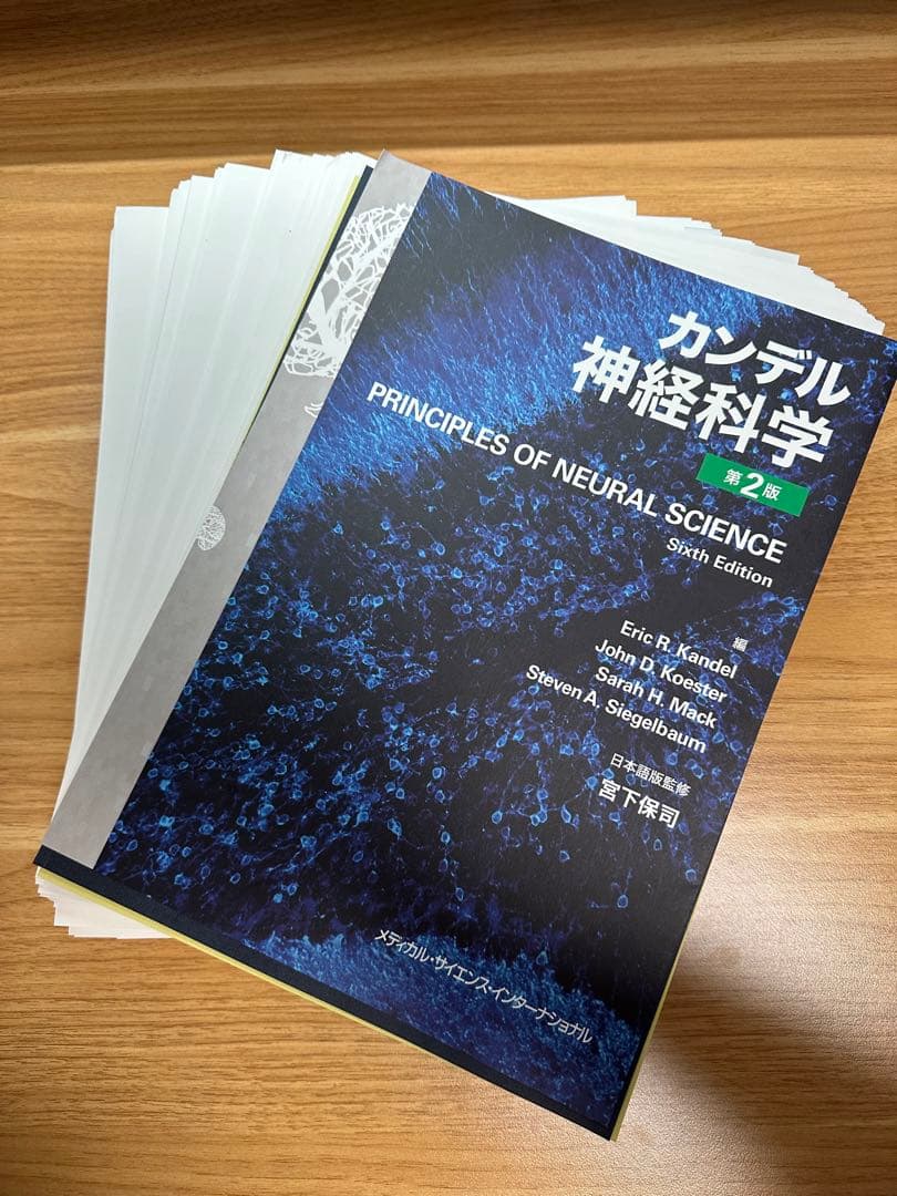 裁断済】カンデル神経科学 日本語版第2版 Sixth Edition