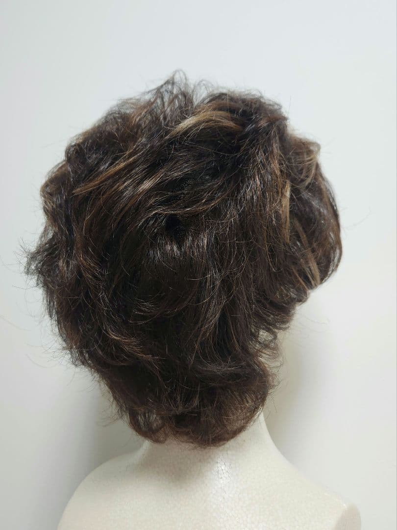 ☆KNT☆総手縫いウイッグ☆ピンなし被るだけ - メルカリ