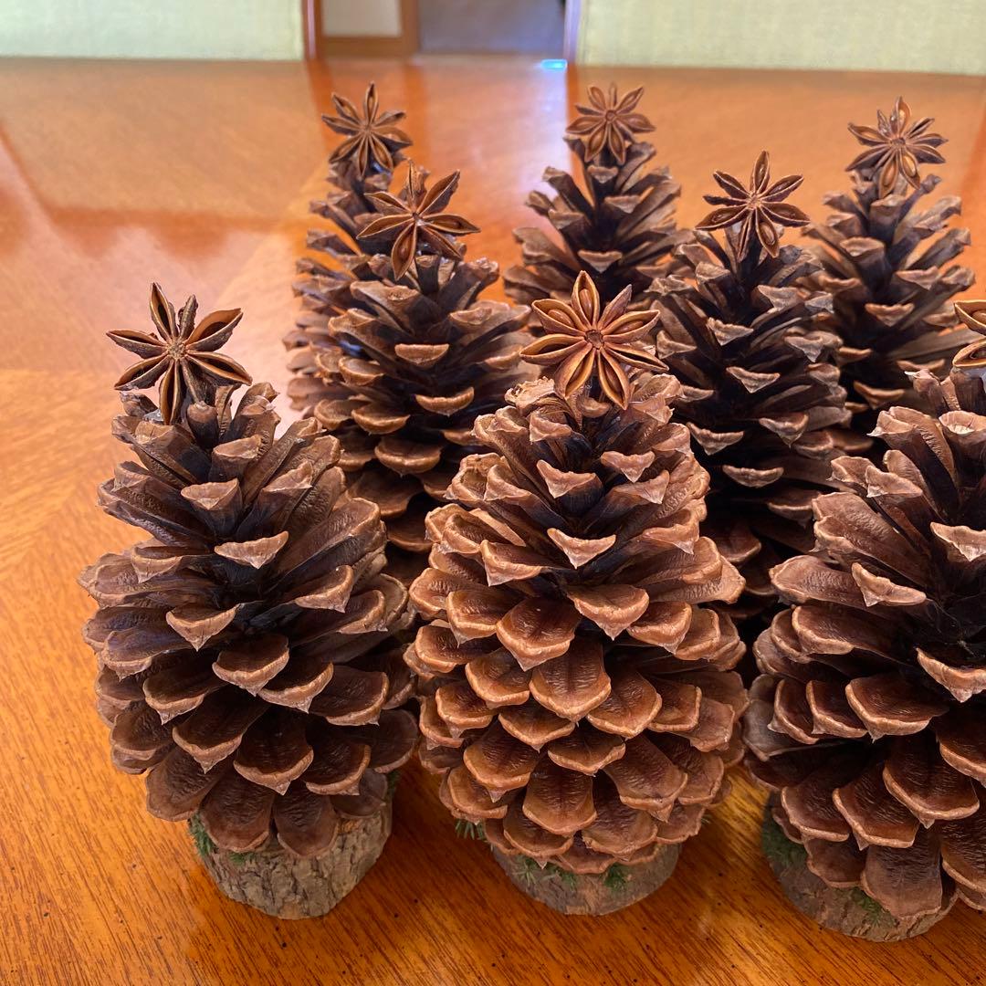 ⚠️専用品⚠️ 大王松 の 松ぼっくりツリー 土台付き ツリー