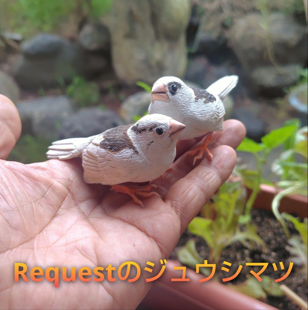 小さなバードカービング ジュウシマツ 野鳥 木彫り - メルカリ