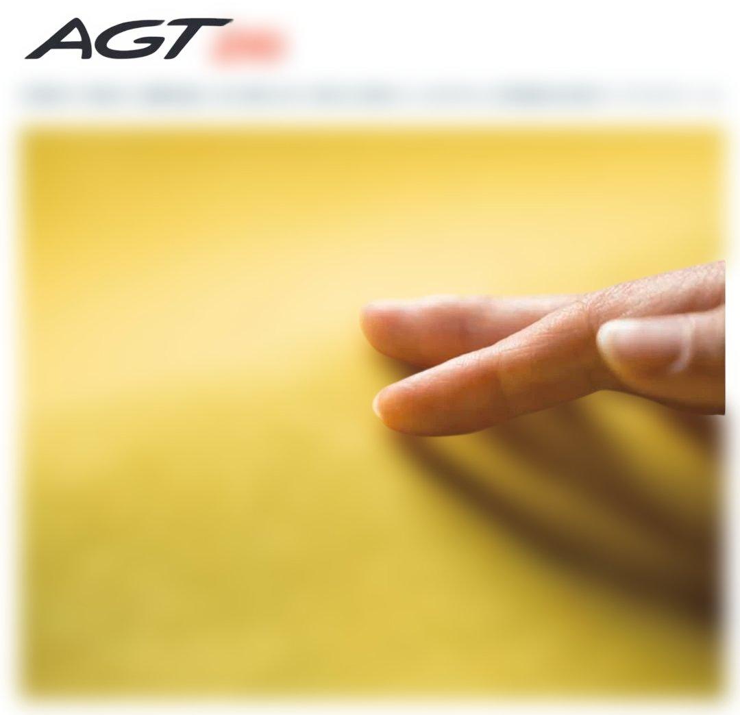 BEWET AGTitan210 角さま 専用 - メルカリ